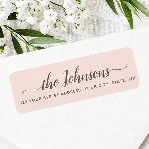 Rectangular soft blush pink return address sticker featuring dark rose cursive family name script with side flourishes above crisp uppercase address text.