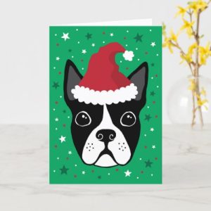 Boston terrier dog wearing a Santa hat Christmas card