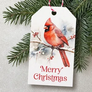 Vertical white cardstock gift tag with a watercolor style illustration of a red cardinal bird perched on a snowy branch with red berries above crimson "Merry Christmas" serif text.